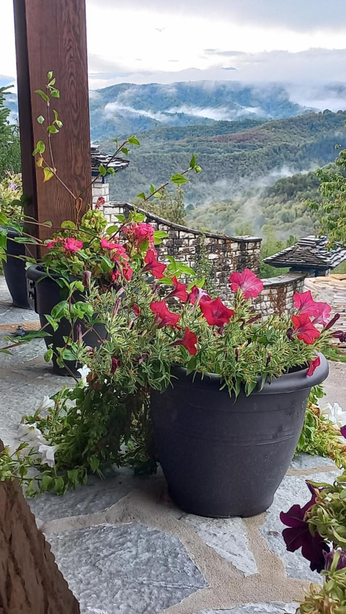 Guesthouse Selini Vitsa Eksteriør bilde