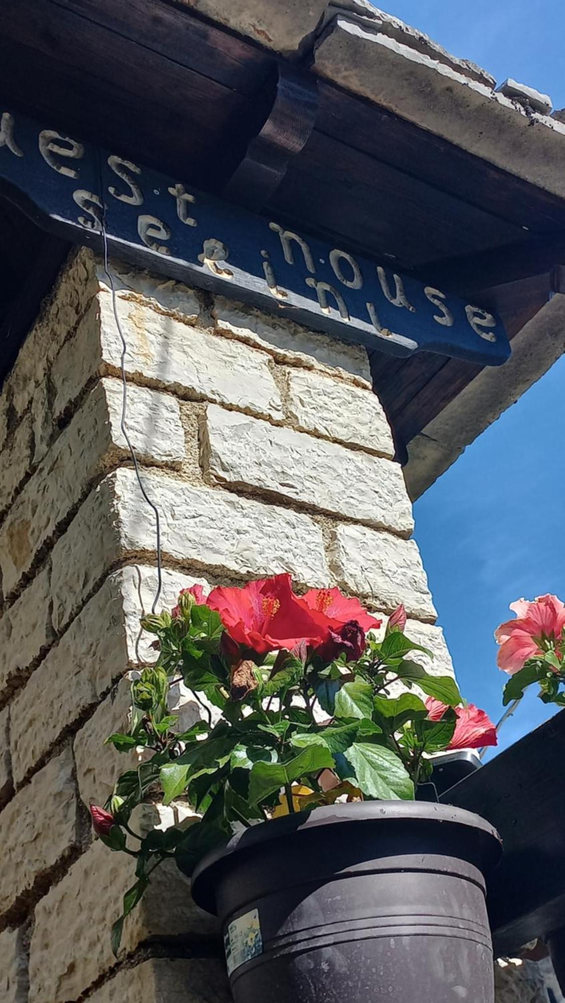 Guesthouse Selini Vitsa Eksteriør bilde