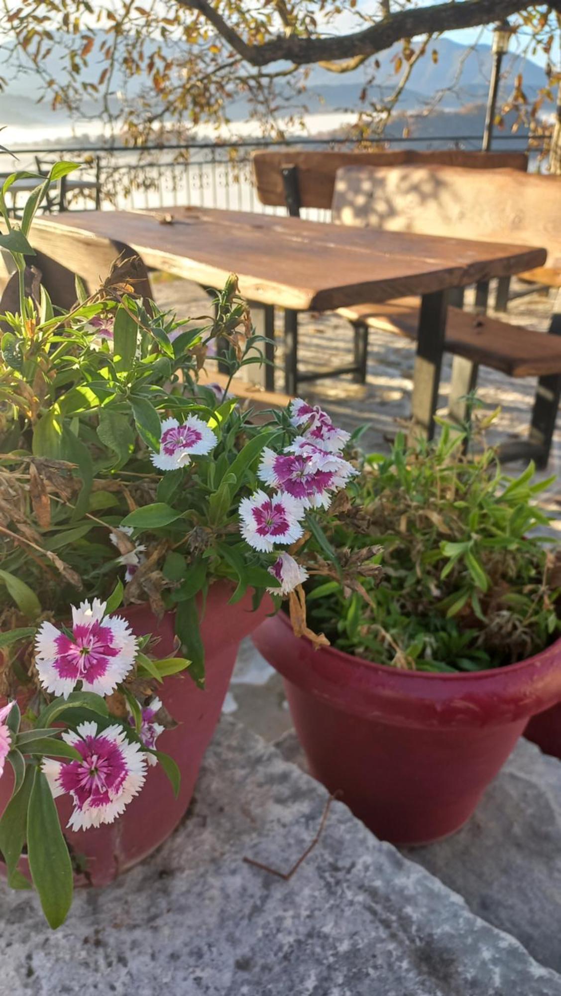 Guesthouse Selini Vitsa Eksteriør bilde